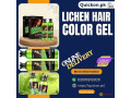 lichen-hair-color-gel-price-in-pakistan-03001819306-small-0