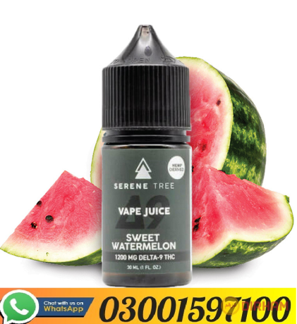 delta-9-thc-sweet-watermelon-vape-juice-1200mg-in-pakistan-03001597100-big-0