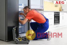 syan-fryzr-ay-a-g-mdynt-01068982008-01112225525-aeg-maintenance-big-0