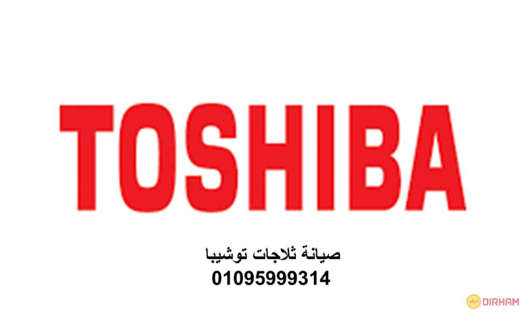 tokyl-aslah-thlagat-toshyba-fysl-01210999852-big-0