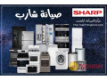 aanoan-syan-mykroyf-sharb-fy-hdayk-alahram-01223179993-small-0