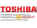 mrakz-aslah-tlagat-toshyba-fy-almnyl-01092279973-small-0