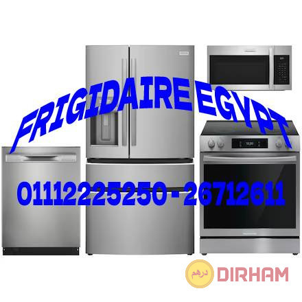 syan-frygydyr-tokyl-syan-thlagat-frygydyr-01068982008-aghz-mnzly-frigidaire-big-0