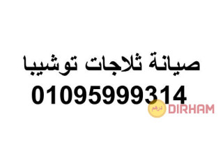 شركة صيانة ثلاجات توشيبا الحوامدية 01220261030