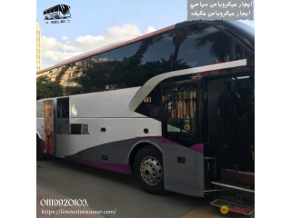 Tourist services for groups, renting buses in Egypt