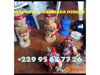 +229 95 67 77 26 Retour affectif immédiat