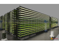 hlol-mbtkr-llzraaa-alhdyth-alzraaa-almayy-oalmzaraa-alaamody-vertical-farming-indoor-small-0