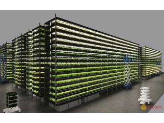 حلول مبتكرة للزراعة الحديثة: الزراعة المائية والمزارع العمودية- Vertical Farming Indoor