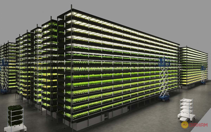 hlol-mbtkr-llzraaa-alhdyth-alzraaa-almayy-oalmzaraa-alaamody-vertical-farming-indoor-big-0